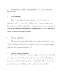 ESTUDIO DE LA CATEDRA AFROCOLOMBIANA EN LAS INSTITUCIONES EDUCATIVAS.