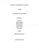 RECONOCIMIENTO DE LAS PROTEINAS INFORME