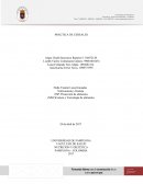 PRÁCTICA DE CEREALES