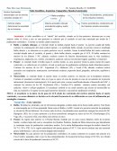 Tallo encefálico neuroanatomía