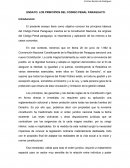 ENSAYO. LOS PRINCIPIOS DEL CODIGO PENAL PARAGUAYO
