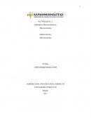 Actividad Indicadores macroeconómicos