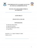 En la actualidad, la auditoria a los estados financieros ha adquirido gran importancia a nivel internacional, debido al crecimiento e inyección de capitales de grandes potencias en países desarrollados y subdesarrollados.