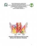 CONDUCTO ANAL Anatomía y Fisiopatología