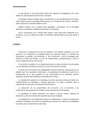 La Sala Gesell, es una herramienta dentro del trabajo de investigación, por lo que deberá ser valorada dentro del contexto solicitado