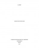 EL BRIEF CESAR IVAN PACHON LARA FUNDACION UNIVERSITARIA DEL AREANDINA FISIOTERAPIA