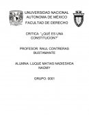 CRITICA: “¿QUÉ ES UNA CONSTITUCION?”.