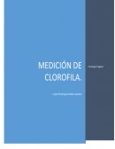 Medicion de Clorofila