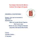 Ensayo: ¿Por qué es necesaria la Agenda 21?.