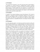 Investigacion cientifica actividad