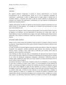 Por logística podemos comprender la puesta en marcha, administración y el correcto funcionamiento de un emprendimiento, dentro de lo cual se desarrollan estrategias de coordinación y planificación.