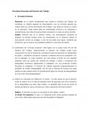 Principios Generales del Derecho del Trabajo Principio Protector
