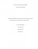 Influencia de la publicidad en los diferentes medios de comunicación que utiliza la industria botanera