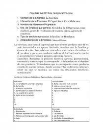 FICHA PARA ANALISIS FODA EN MICROEMPRESA LOCAL La Sureñita. Página 1