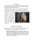 Las Articulaciones. Las articulaciones forman parte del aparato locomotor