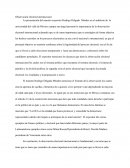 Observación electoral internacional