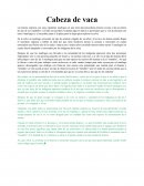 La historia empieza con unos españoles naufragos en una tierra desconocida,la primera escena es de un entirro de uno de los españoles y al lado un sacerdote recitando algo en latin.