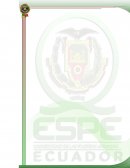 Entrevista realizada a una profesional