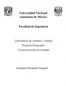 Proyecto de Sistemas y Señales