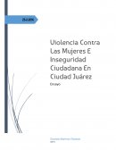 Violencia de genero. Las hipótesis que se manejan con respecto a quiénes son los probables asesinos son muy variadas