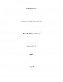 Ensayo de la película Mary and Max