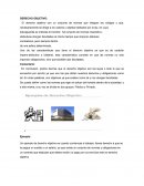 DERECHO OBJETIVO. DERECHO PUBLICO