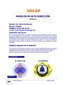 Modelos de alta dirección