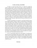 Cerebro, neuronas y electricidad