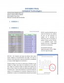 INFORME FINAL Littlefield Technologies
