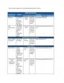 Base de datos agencia MKT Pachuca