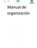 EMPRENDEDORES Manual de organización