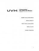 Actividad integradora ¿Qué ventajas ofrece el marketing digital?