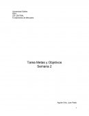Para realizar el siguiente ejercicio es necesario que lea previamente el capítulo 1 del libro de texto y el documento complementario de Metas y Objetivos.