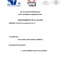 Producción y distribución de carbón vegetal (biochar)