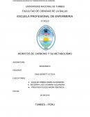 BIOQUIMICA HIDRATOS DE CARBONO Y SU METABOLISMO