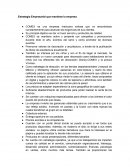 Estrategia Empresarial que mantiene la empresa