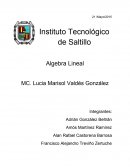 Algebra Lineal Obtener una solución usando un sistema de ecuaciones lineales