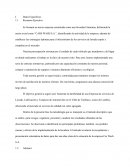 Datos Específicos 1.1	Resumen Ejecutivo