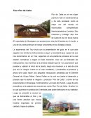 Tour Flor de Caña y Cerro Negro Nicaragua