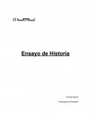 De los conflictos armados contra Bolivia