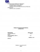 Trabajo educacion especial(581) U.N.A