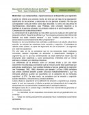 Motricidad: sus componentes y repercusiones en el desarrollo y la cognición