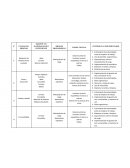 MATRIZ DE RIESGOS ERGONOMICOS
