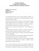 Prácticas Culturales Trabajo Práctico Integrador I