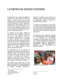 La hambruna acecha Colombia