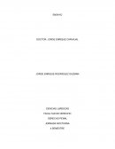 Ensayo penal Dignidad Humana