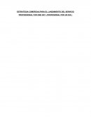 ESTRATEGIA COMERCIALPARA EL LANZAMIENTO DEL SERVICIO PROFESSIONAL FOR ONE DAY (PROFESIONAL POR UN DIA )