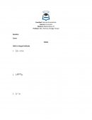 Integrales ejercicios
