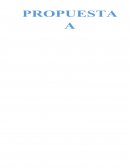 Funcionamiento de la organización y brinda un panorama sobre las fortalezas