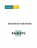 CREACION DEL PROCESO DE BUSINESS PARTNERS